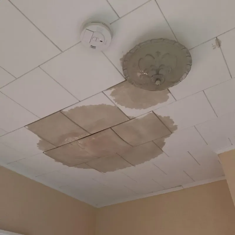 Ceiling Water Damage Repair in Bismarck, ND