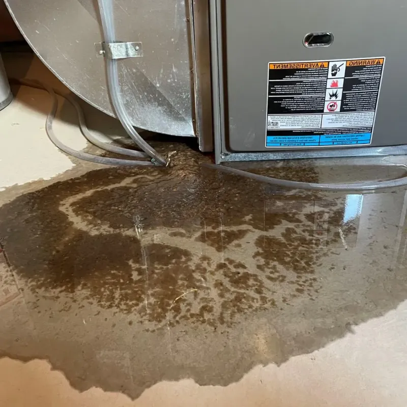 Pipe Burst and Leak Restoration in Bismarck, ND