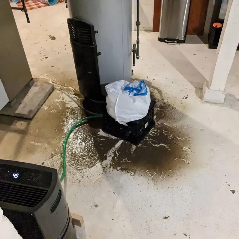 Sewage Backup Cleanup Service in Bismarck, ND